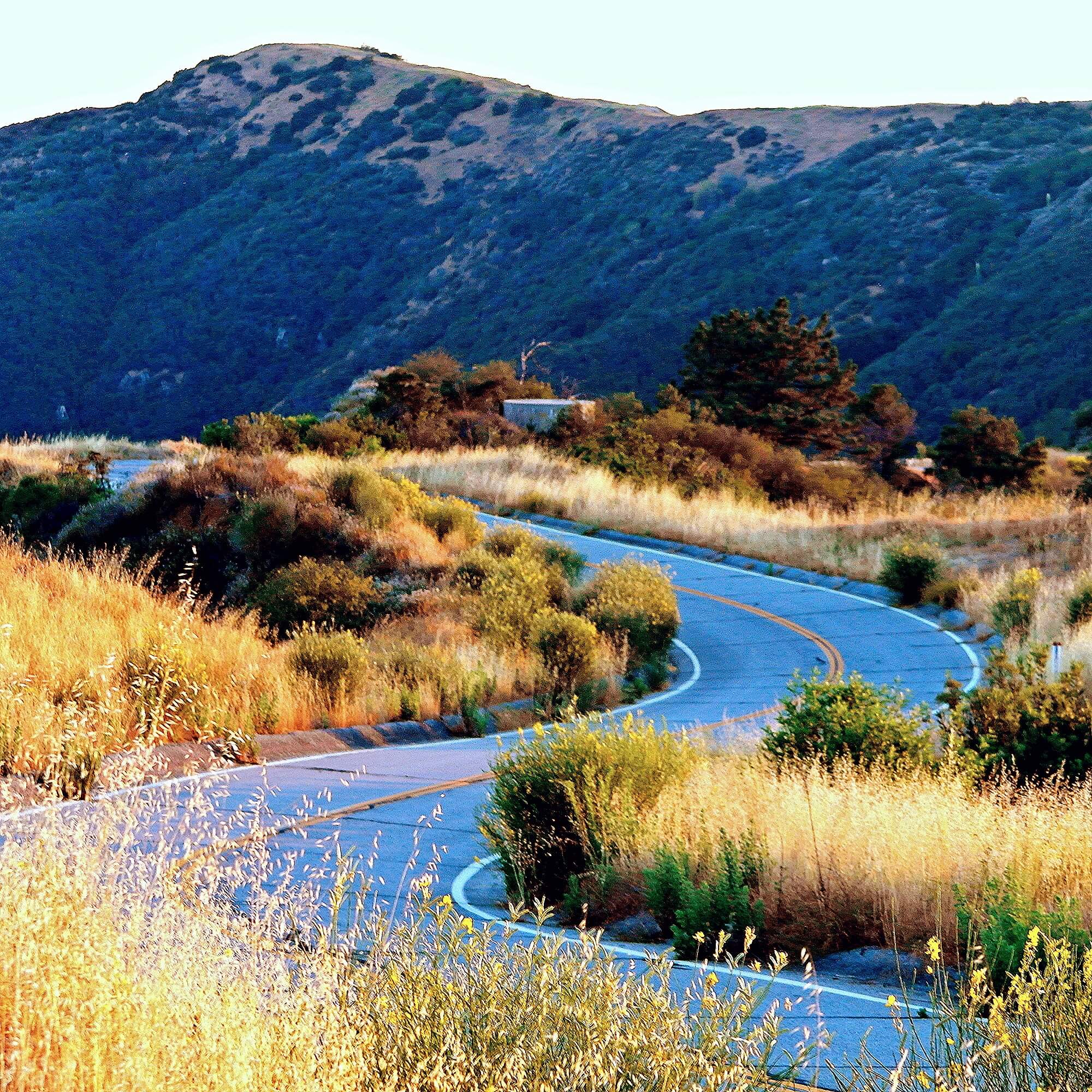 Glendora Mountain Road, a popular road near Los Angeles
